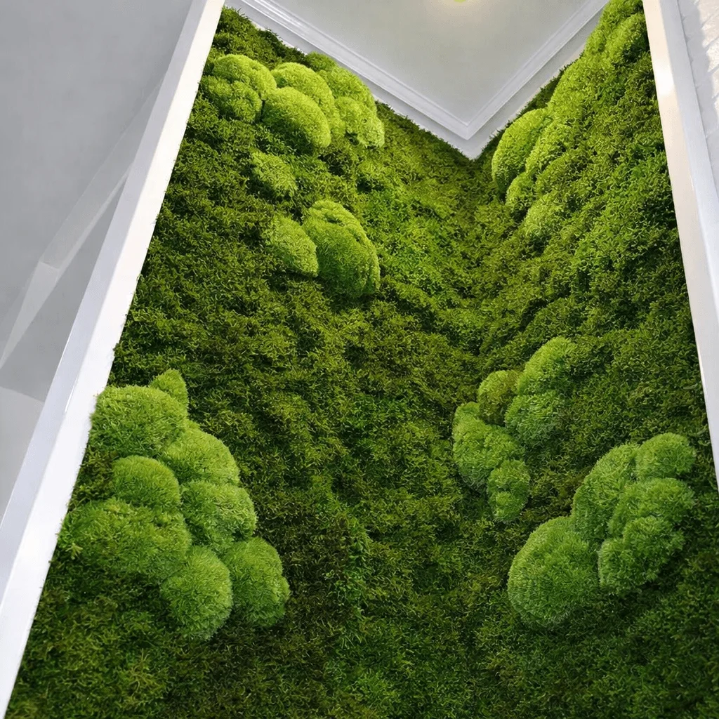 Musgo Moss Preservado